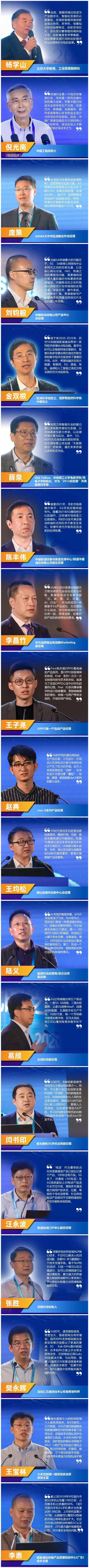 预览区