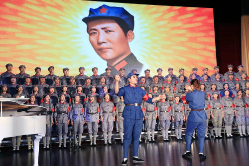 预览区