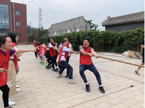 预览区