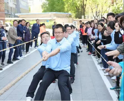 预览区