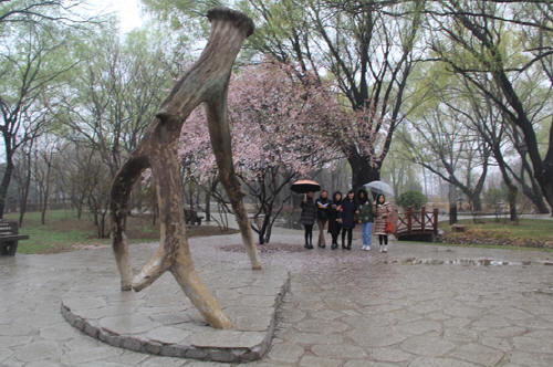 预览区