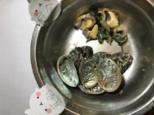 预览区