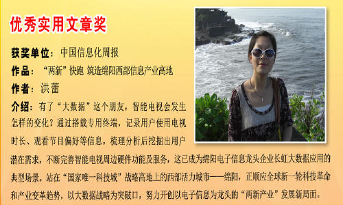 预览区