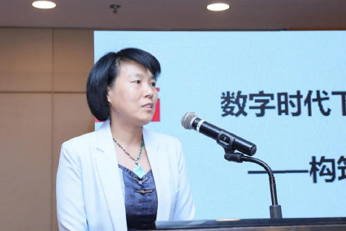 预览区