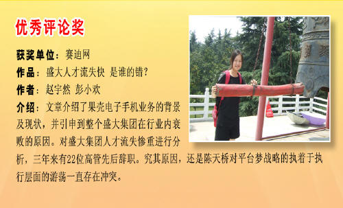 预览区