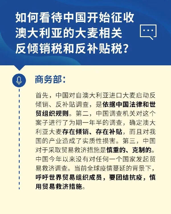 预览区